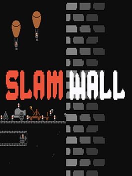 Cover Slamwall