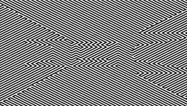 Cover Zebra