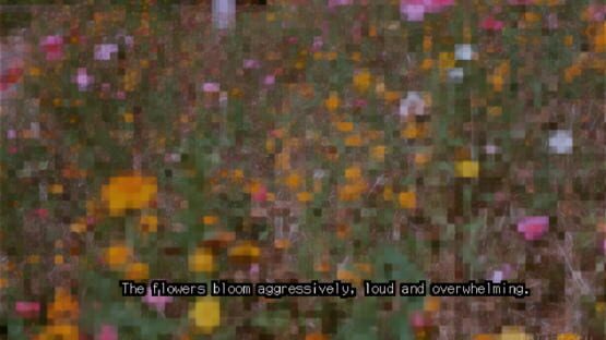 Screenshot Outside Agent