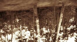 Cover The Mouth Of The Woods