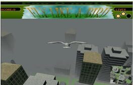 Cover Fly Like a Bird
