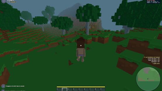 Screenshot VoxLand