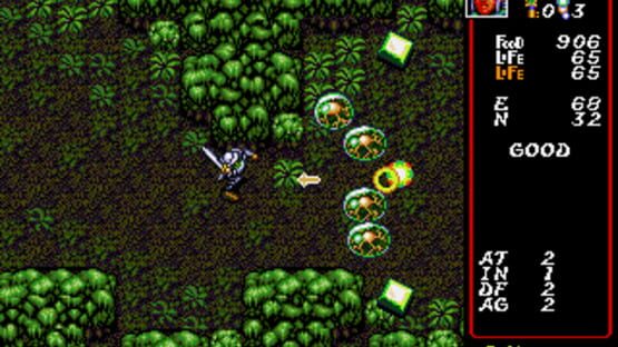 Screenshot Dungeon Explorer 3