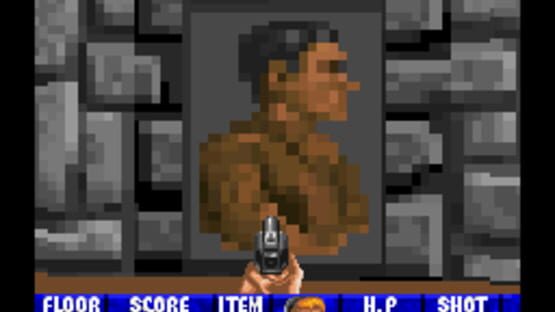 Screenshot Wolfenstein 3D 1