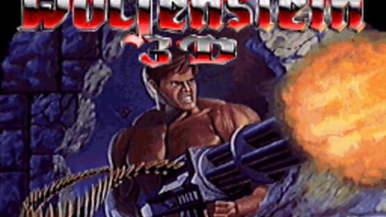 Screenshot Wolfenstein 3D 3