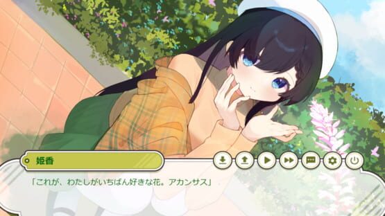 Screenshot Sake Acanthus