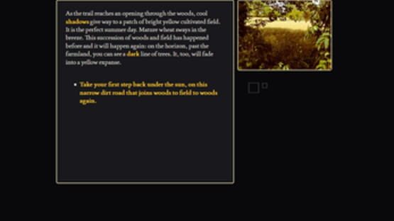 Screenshot This is a Black Parallelepipedon in a Yellow Field
