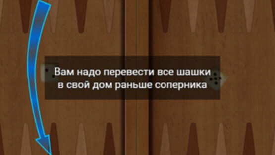 Screenshot Long Nardy