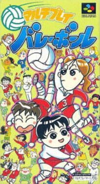 Cover Multi Play Volleyball