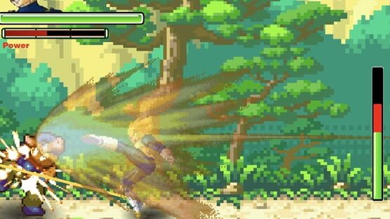 Screenshot Dragon Ball Fierce Fighting