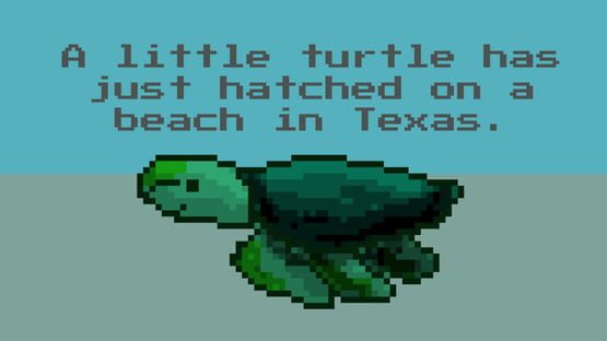 Screenshot A Little Turtle Has Just Hatched on a Beach in Texas.
