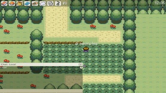 Screenshot Pokénet