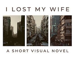 Cover I Lost My Wife