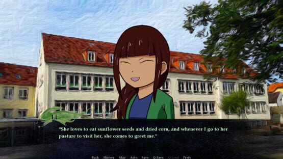 Screenshot No Meteors