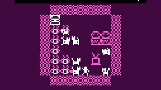 Screenshot With Seven Cats