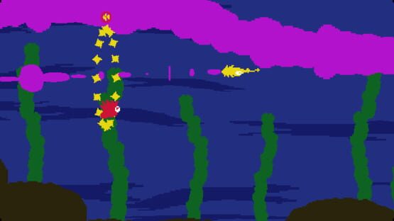 Screenshot Sunset Squid