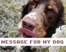 Cover Message for My Dog