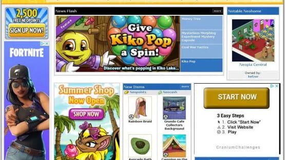 Screenshot Neopets Browser