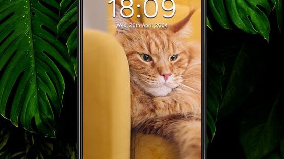 Screenshot A Phone Found in Tall Grass