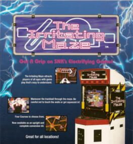 Cover The Irritating Maze