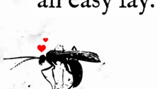 Screenshot An Easy Lay