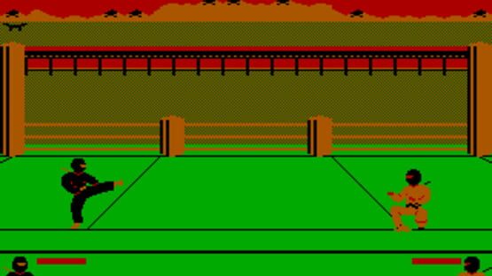 Screenshot Ninja 2