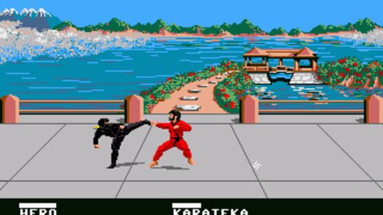 Screenshot Ninja 1