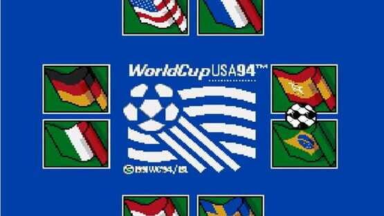 Screenshot World Cup USA 94 3