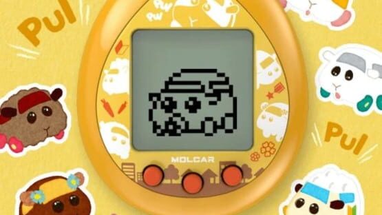 Screenshot Pui Pui Molcartchi