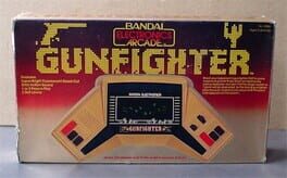 Cover Gunfighter