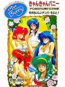 Cover Can Can Bunny