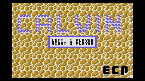 Cover Calvin