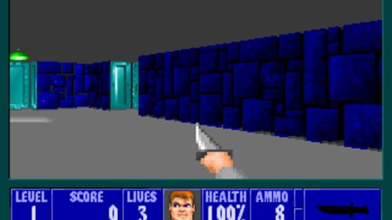 Screenshot Wolfenstein 3D