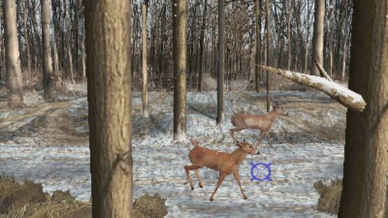 Cover Big Buck Hunter