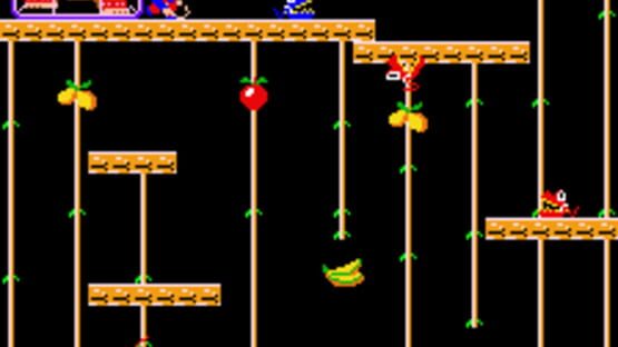 Screenshot Donkey Kong Junior 2