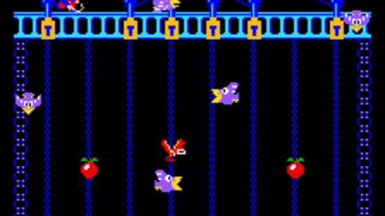 Screenshot Donkey Kong Junior 3