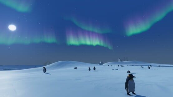 Screenshot Penguin Helper