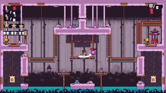Screenshot Ninjora Echoes