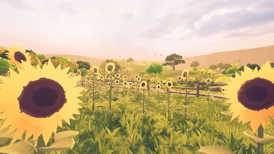 Screenshot Evergreen Meadow