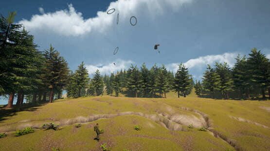 Screenshot Sky Diving: Parachute Flight Simulator