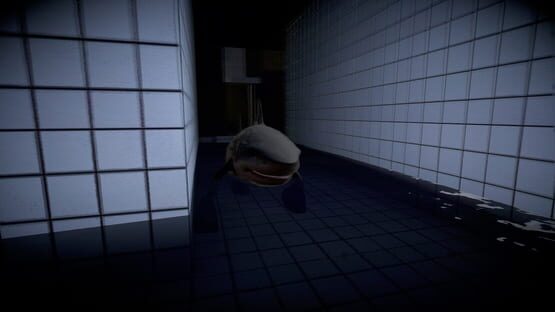 Screenshot Brainrot & Tung Collection 5 in 1