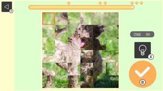 Screenshot Brain Workout! Spinning Dog Puzzle