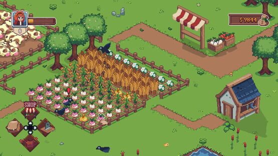 Screenshot Farm