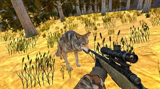 Screenshot Animal Hunting 3D