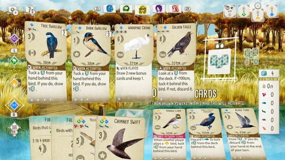 Screenshot Birds and Cats: Special Edition