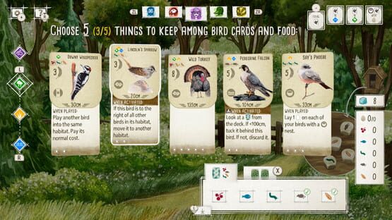 Screenshot Birds and Cats: Special Edition