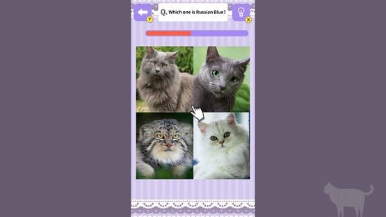 Screenshot Cat Spotting Challenge!