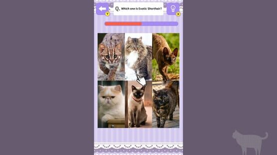 Screenshot Cat Spotting Challenge!