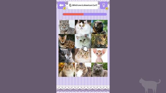 Screenshot Cat Spotting Challenge!
