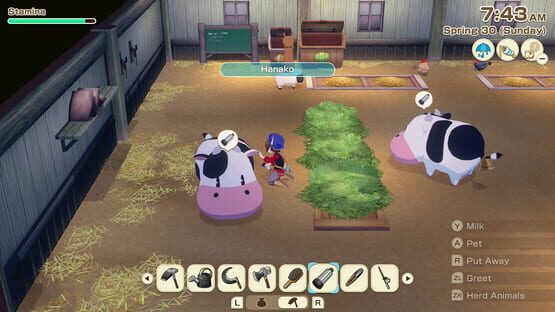 Screenshot Story of Seasons: Grand Bazaar - Super Digital Deluxe Edition